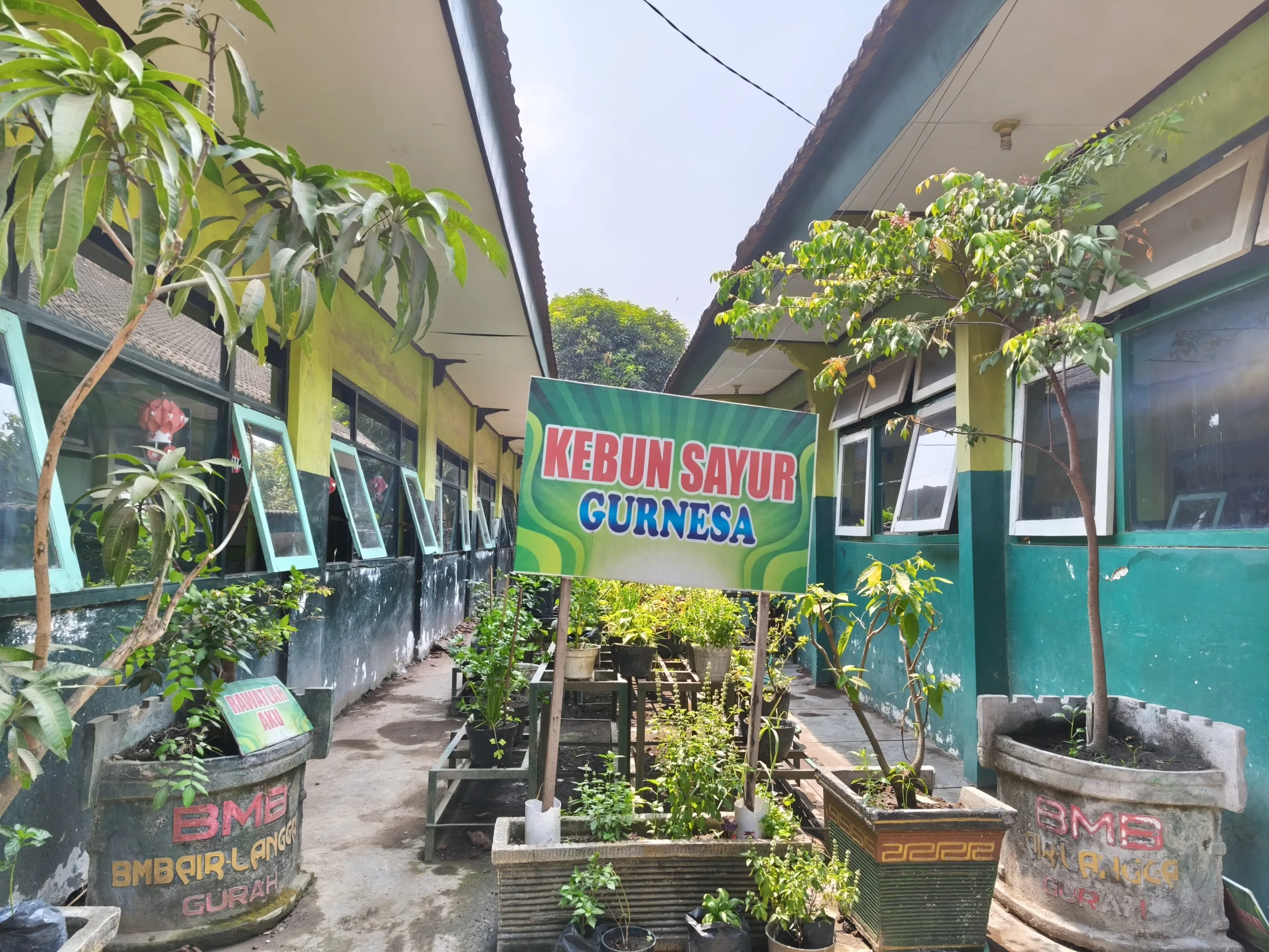 Kebun Sayur & Gazebo